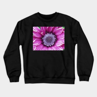 brightly coloured glowing purple and pink striped gazania Crewneck Sweatshirt